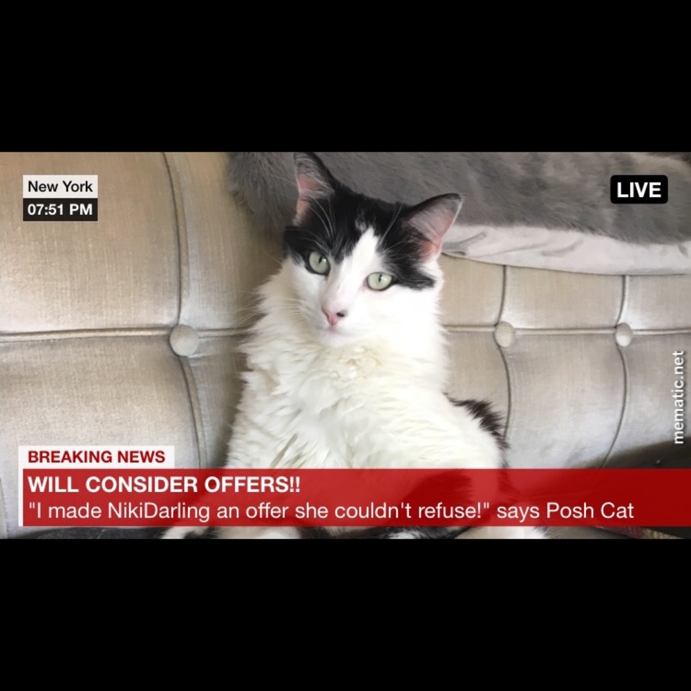 I Consider All Offers!!